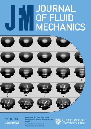 Journal of Fluid Dynamics 2025, vol. 1017