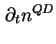 $\displaystyle \partial_t n^{QD}$